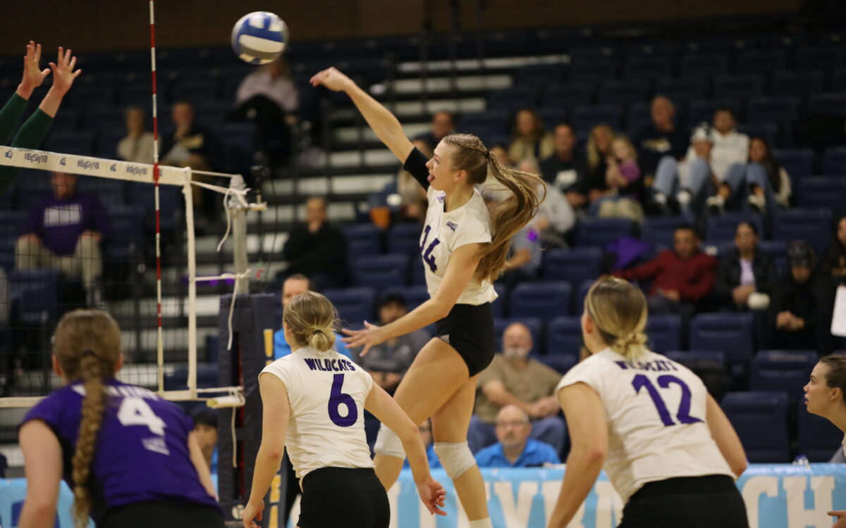 er State volleyball grits its way to Big Sky tournament championship